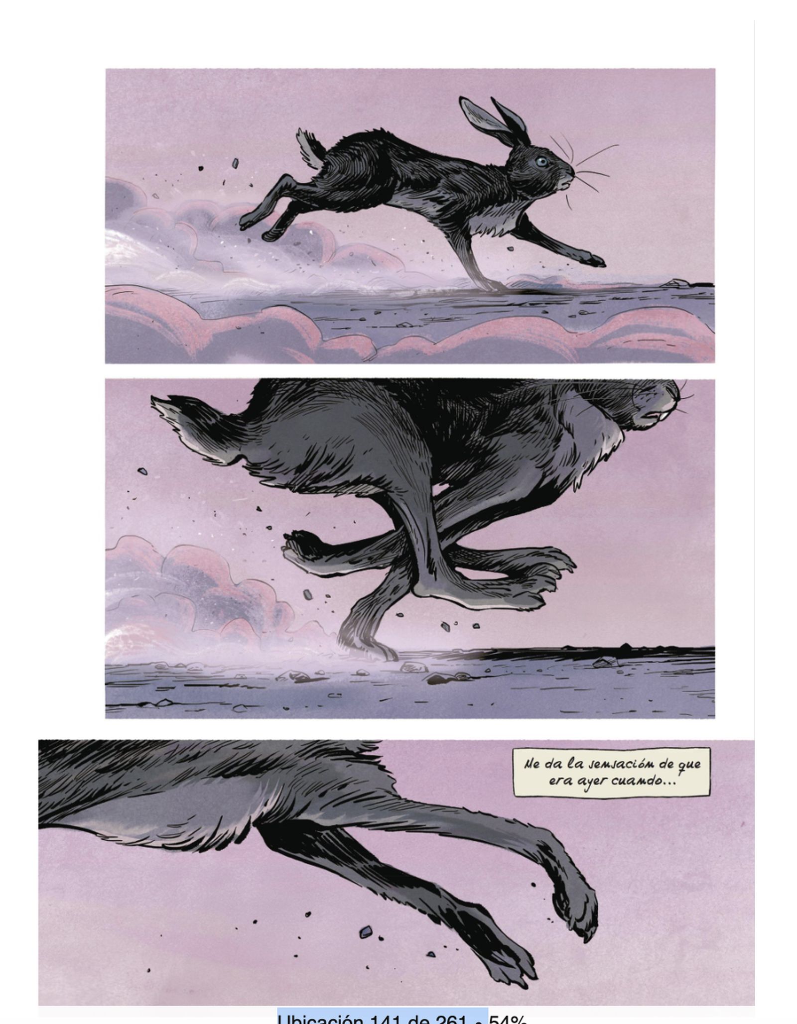 5 pag 5