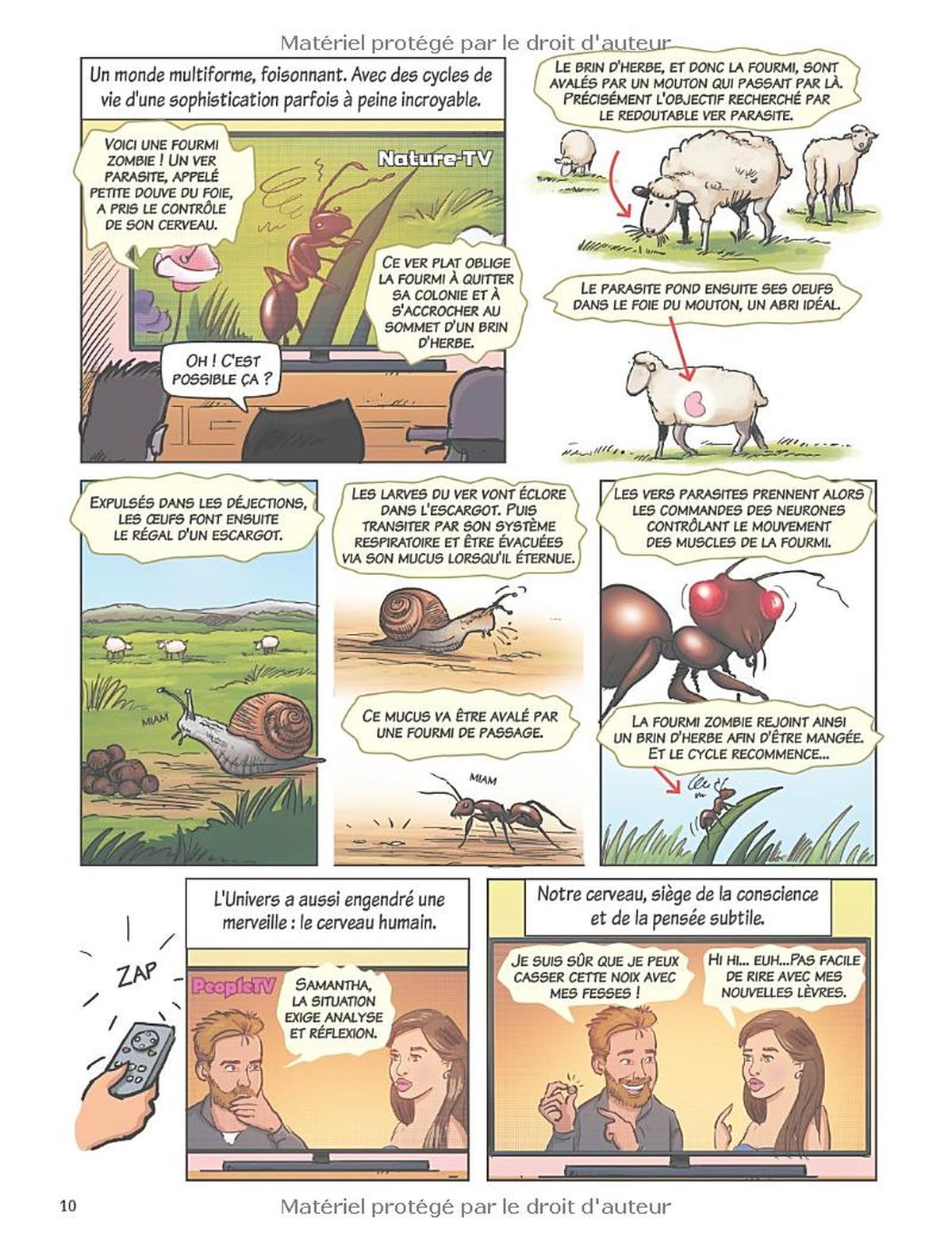 7 pag 7 9
